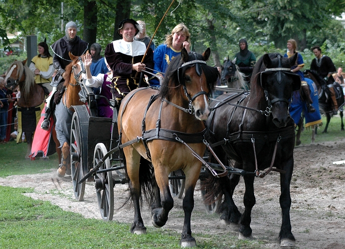 2005_0813 (50).JPG - Drottningen lämnar riddarspelet